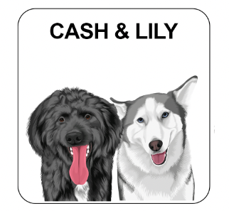 2 Pet Portraits